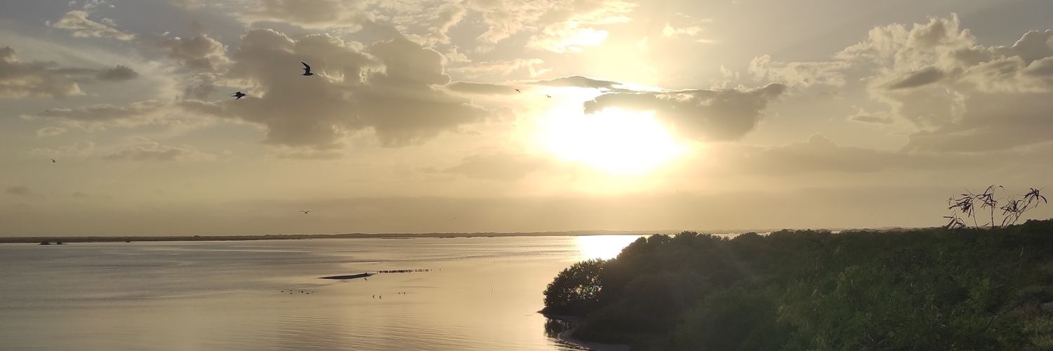 eelyucaterco's profile banner image