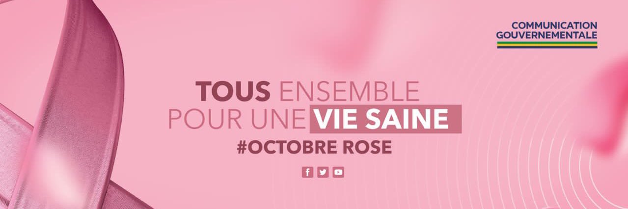 Ministère des Relations avec les Institutions banner