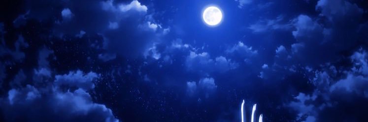 ma1oWAV's profile banner image