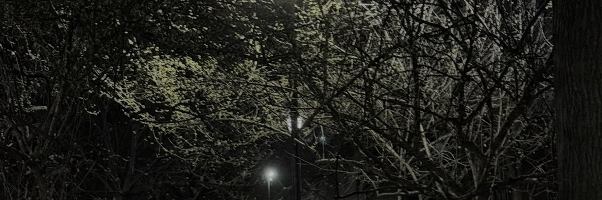 libbylaur's profile banner image