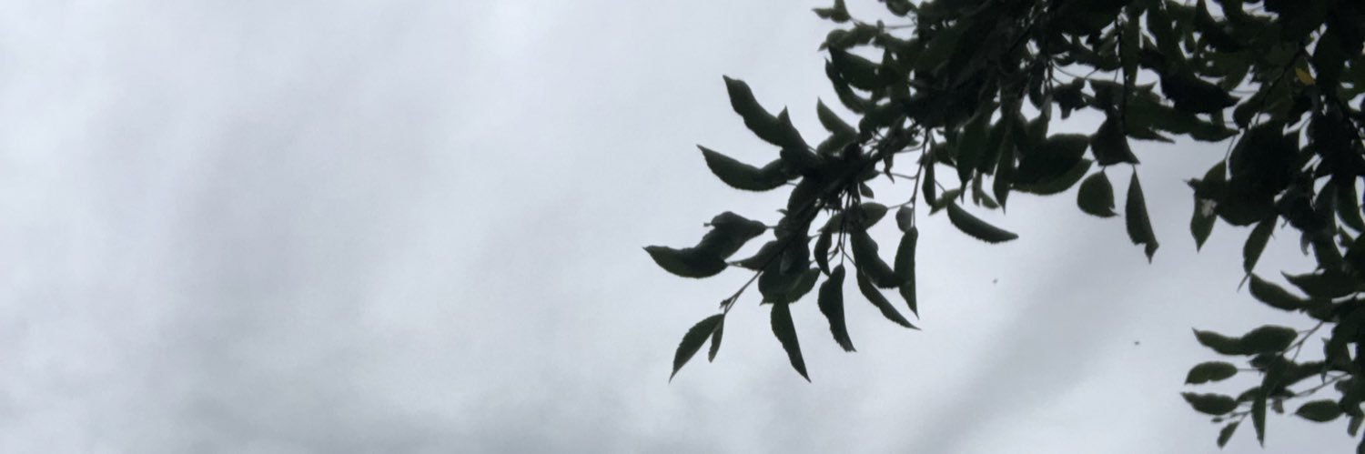 Micaela Edelson banner