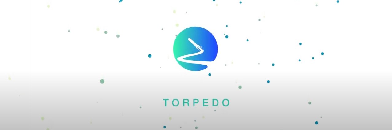 TorpedoSuccess banner