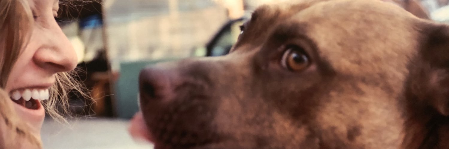 Lmadnick's profile banner image