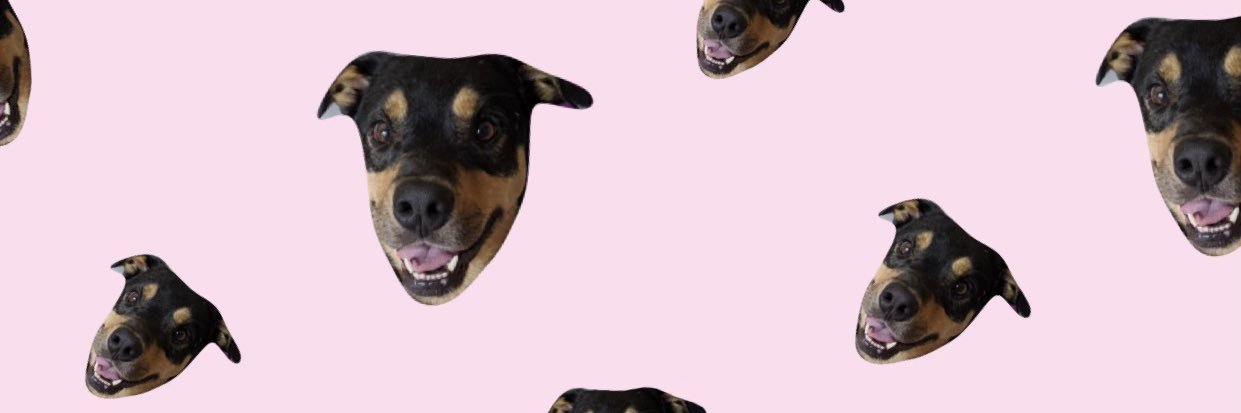 hiiiialyssaaa's profile banner image