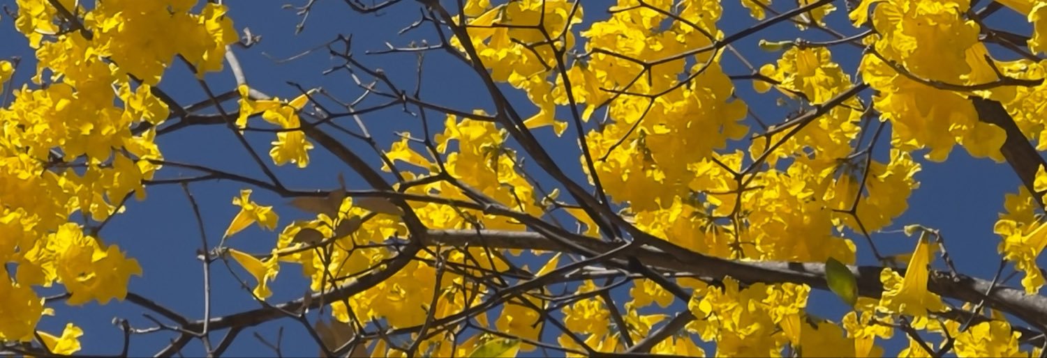 thiagx_f's profile banner image