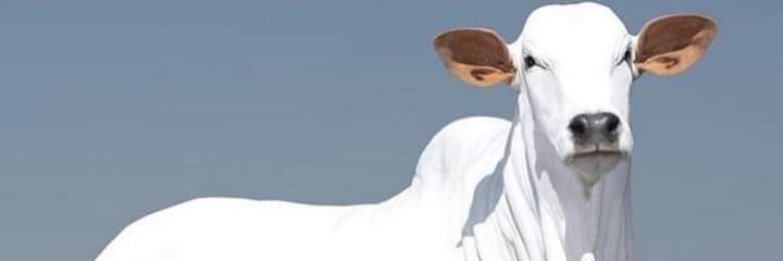 onfive's profile banner image