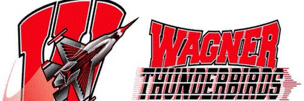 TBirdsVball Profile Banner