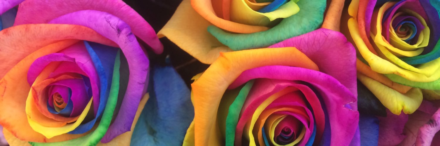 Mark Shephard 🏳️‍🌈 banner