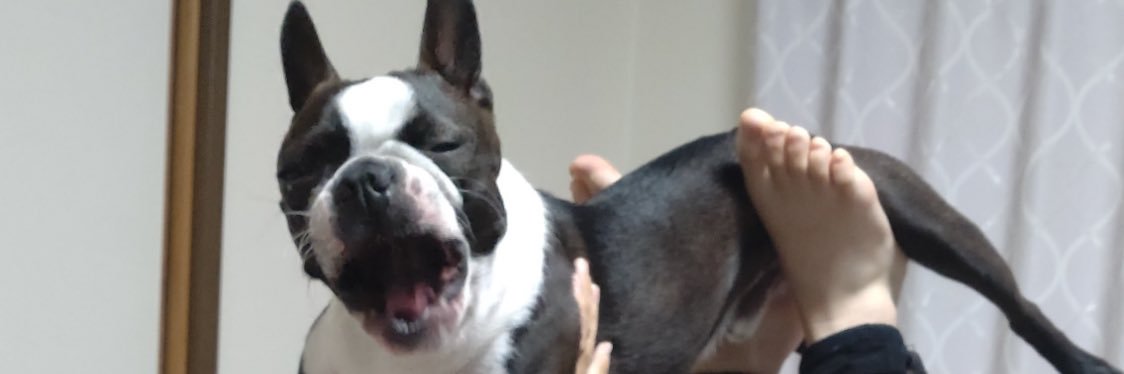 うなぎ@投資歴7年💎クリスタルアート作家✨ banner