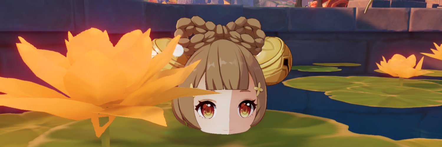 na'na banner