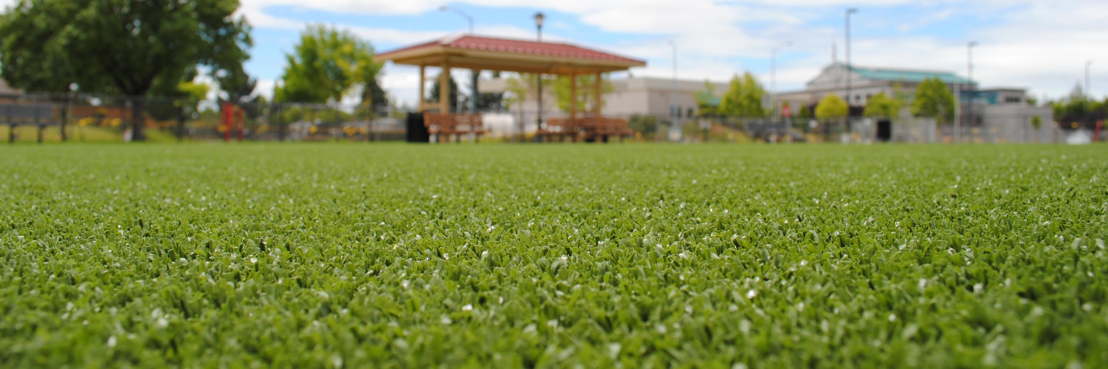 fieldofgreeninc's profile banner image