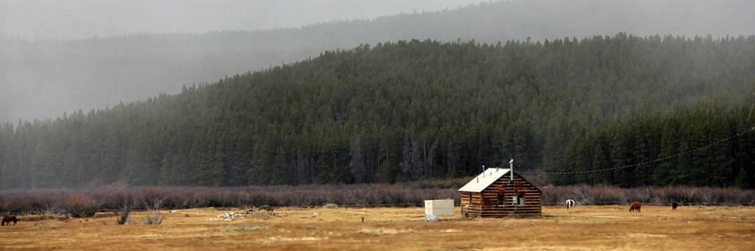 Danny Wicentowski banner