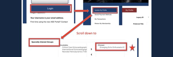 e3ASE Profile Banner