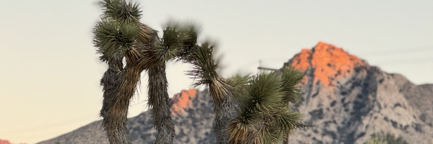 Desert Rat Julie124 banner