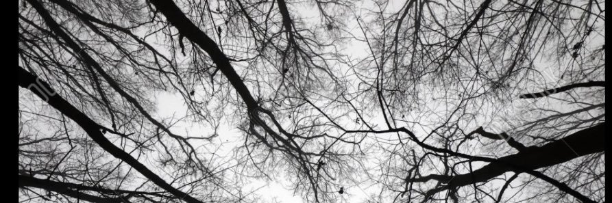 oscar_235's profile banner image