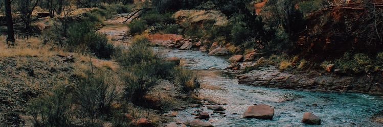 birbeck22's profile banner image