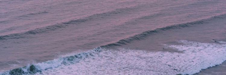 MonaBoukhdoud's profile banner image
