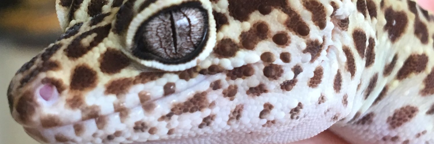 Vickaryous Lab banner