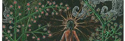 Lillie.P ☺️👅 banner