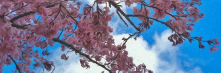 Michelle Soliman Miranda Felix banner