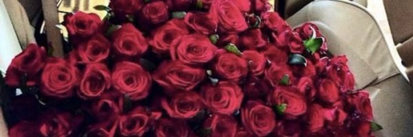 NoveeRose Profile Banner