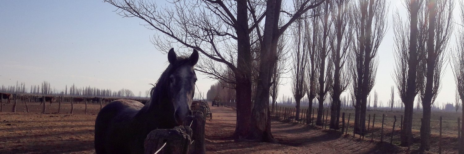 BelmonteSol's profile banner image