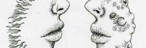 RomagueraMaria's profile banner image