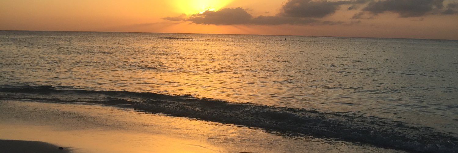nschaeferr's profile banner image