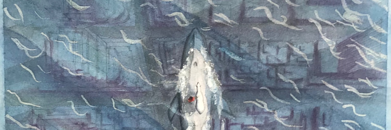 maamokki's profile banner image