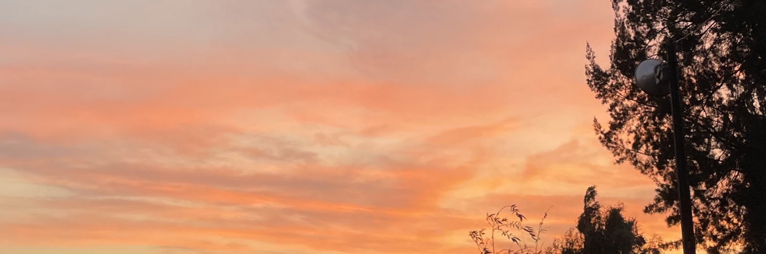 kattbells's profile banner image