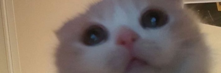 hmmmmmyaaaa's profile banner image