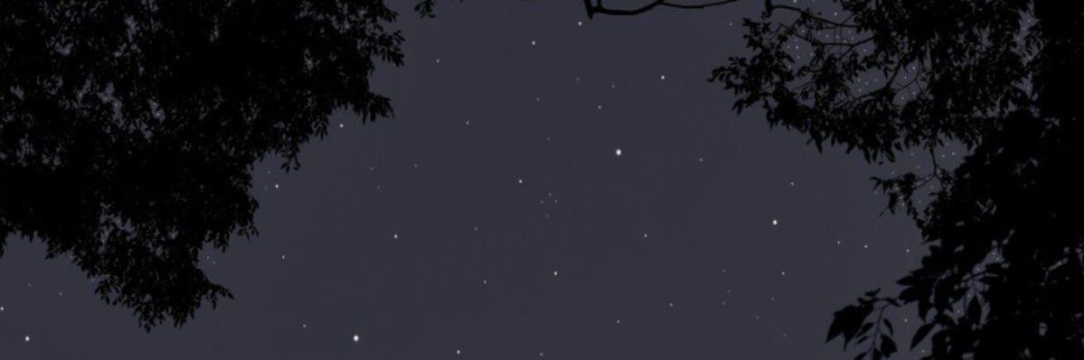everyg1ow's profile banner image