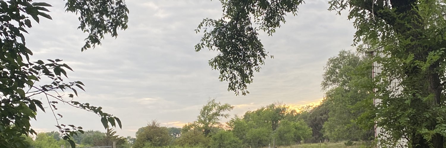 cloudykindnes's profile banner image