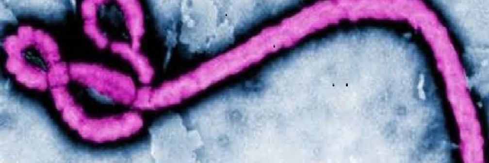 Thomas Duszynski MPH, PhD banner