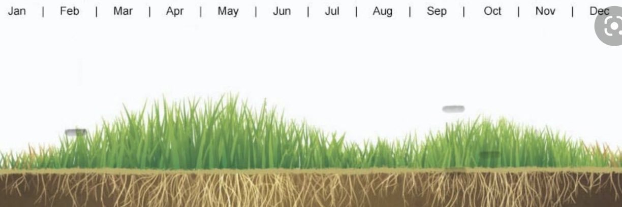 Groundsman Green banner