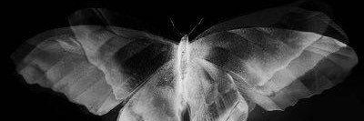 emptything_g's profile banner image