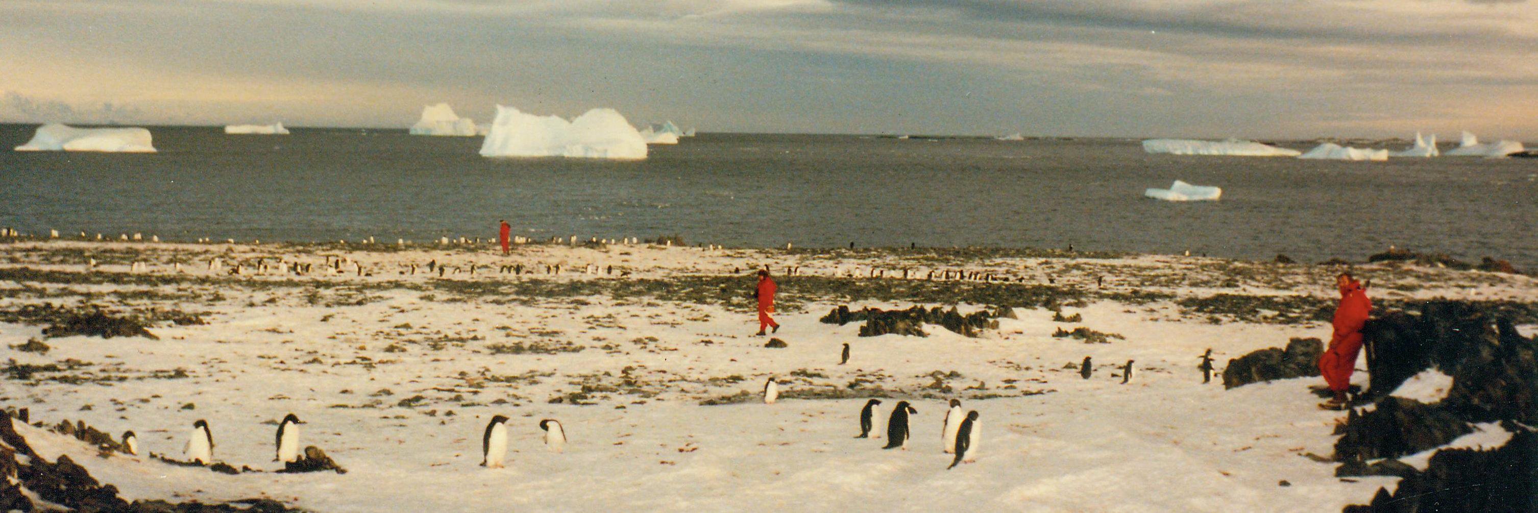 University of Texas Institute for Geophysics banner