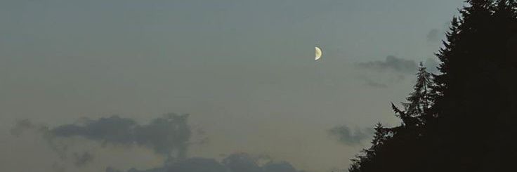 Aimy. banner