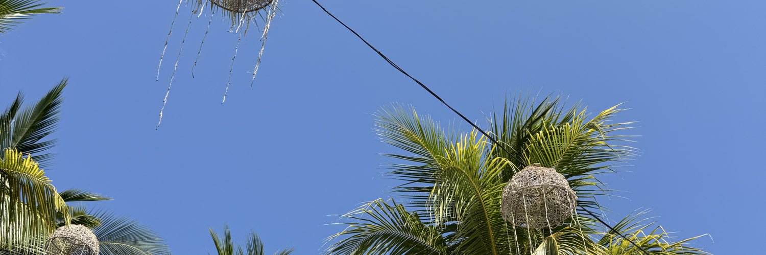 AlexisMgls's profile banner image