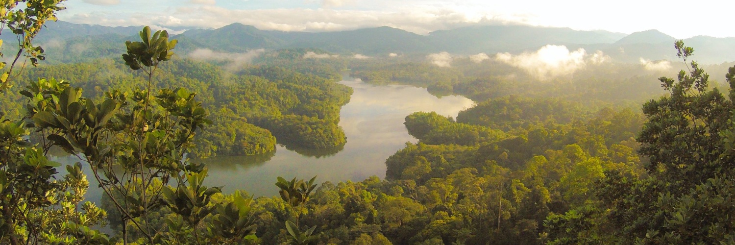 Finance for Biodiversity banner