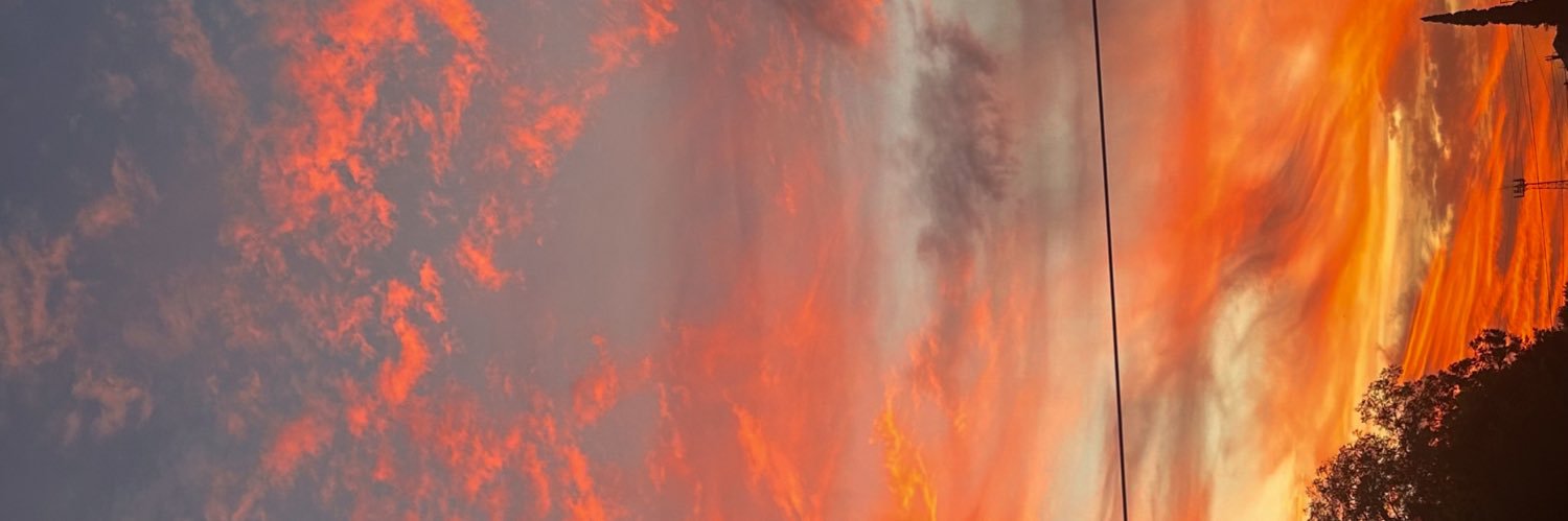 LidiaRuan's profile banner image