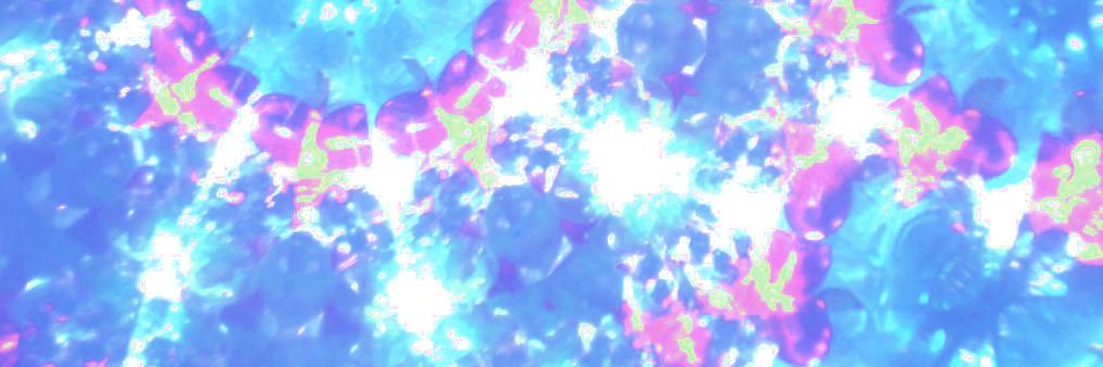 knkting's profile banner image