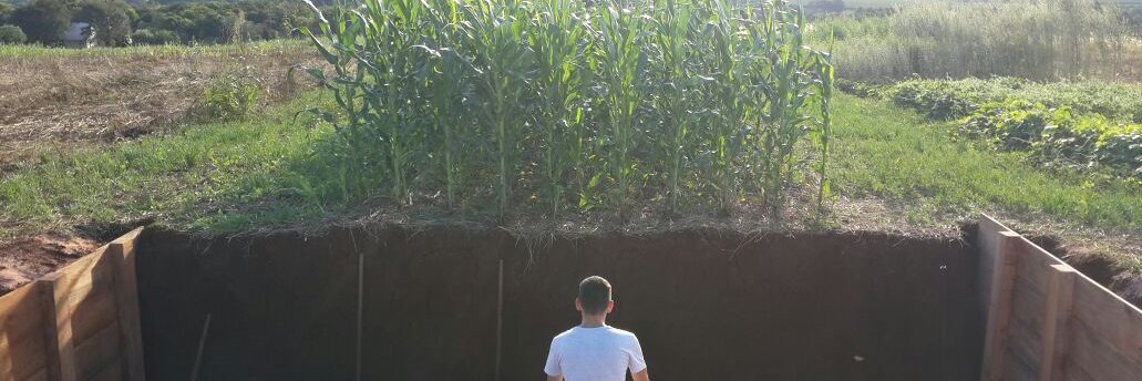 BruceCBall's profile banner image