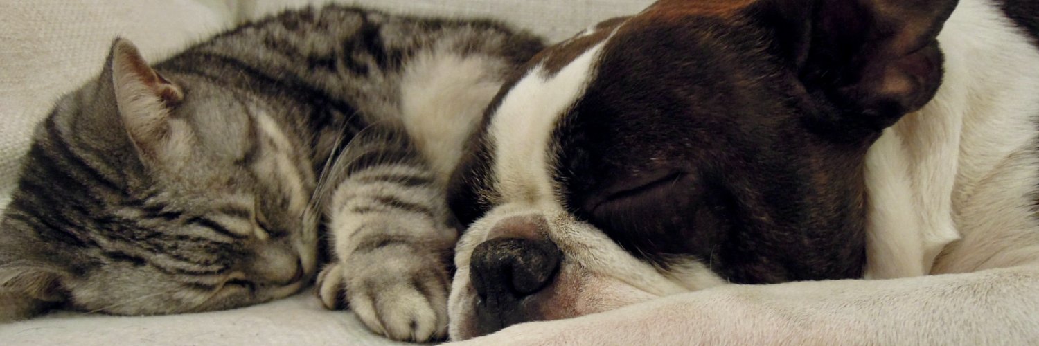 Shigetsu Takayama banner