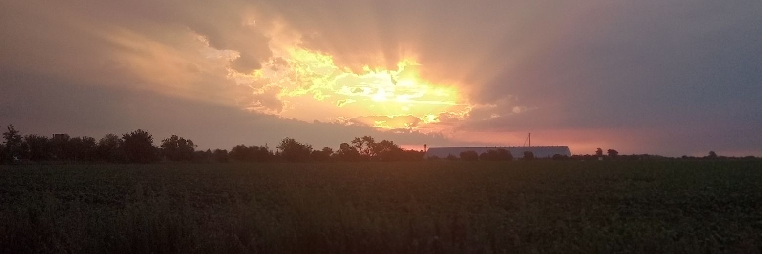 Micachiodi's profile banner image
