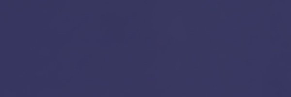 twins2204 Profile Banner