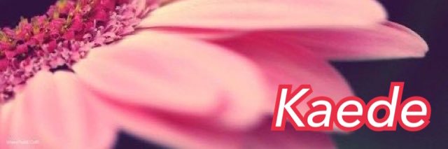 ポンコツ床ペロ予備弾薬隊員 Kaede banner