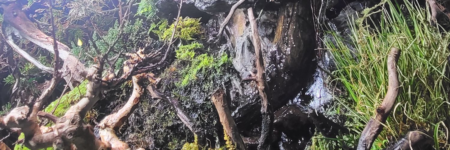 S_REN08's profile banner image