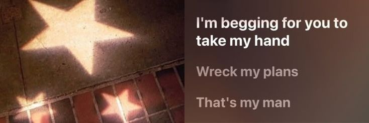 bis | poppyalex banner