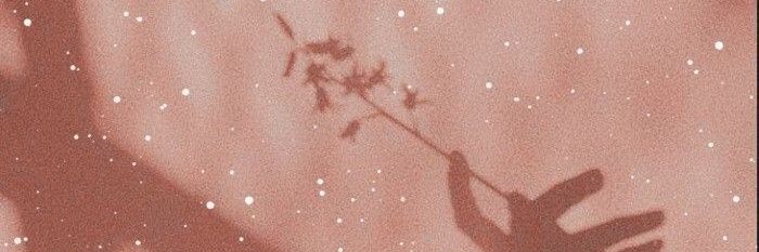 hamjinnie2's profile banner image